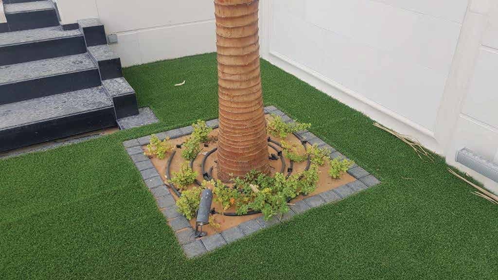 Palm planting detail with brick edging by Work Green