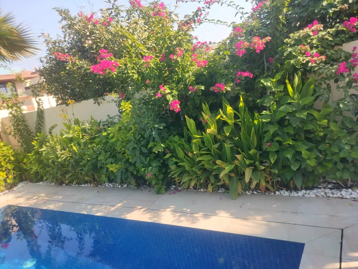Saadiyat Reserve Pool Villa