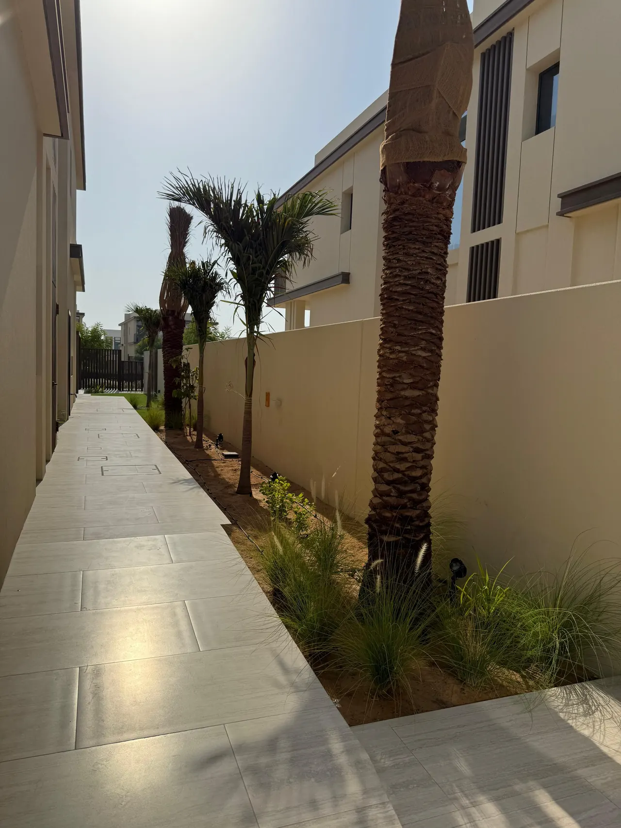 Palm Walk Garden